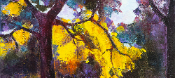 Autumn Study near Vergelegen | 2019 | Oil on Canvas | 60 x 40 cm